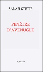 FENETRE D'AVEUGLE