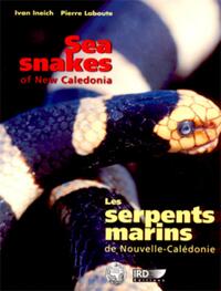 Les serpents marins de Nouvelle-Calédonie