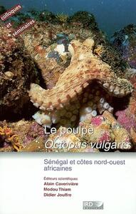 LE POULPE. OOCTOPUS VULGARIS. - SENEGAL ET COTES NORD-OUEST AFRICAINES.