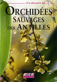 ORCHIDEES SAUVAGES DES ANTILLES