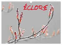ÉCLORE (Calendrier mural 2027 DIN A3 vertical), CALVENDO calendrier mensuel