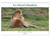 Le cheval islandais dans son environnement naturel (Calendrier de bureau 2027 DIN A5 vertical), CALVENDO calendrier mensuel