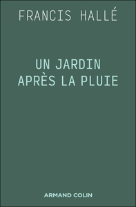 Un jardin après la pluie