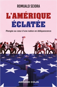 L'AMERIQUE ECLATEE - PLONGEE AU COEUR D'UNE NATION EN DELIQUESCENCE