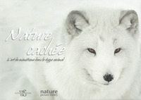 Nature cachée - L'art du mimétisme dans le règne animal
