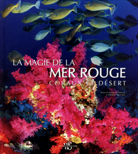 La magie de la mer rouge - coraux et désert