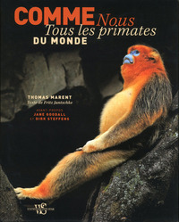 Comme nous - Tous les primates du monde