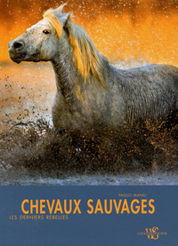 Chevaux sauvages