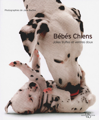 Bébés chiens - Jolies truffes et ventres doux