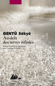 AU-DELA DES TERRES INFINIES