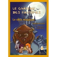 Le silex magique (Édition Adaptée DYS)