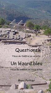 QUESTIONS ET UN LEZARD BLEU