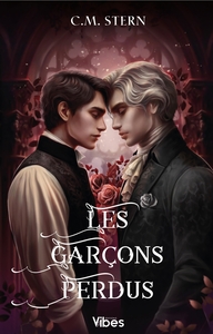 Les garçons perdus T2