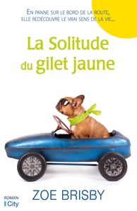 La solitude du gilet jaune