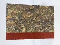 L'EQUITATION DES GENS PRESSES