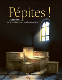 PEPITES ! LUMIERE SUR LES COLLECTIONS MULHOUSIENNES