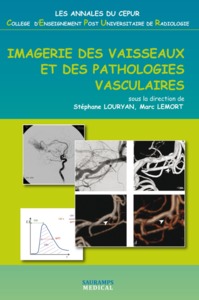 IMAGERIE DES VAISSEAUX ET DES PATHOLOGIES VASCULAIRES