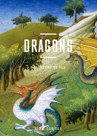 Dragons - Cracheurs de feu. L'oeil curieux