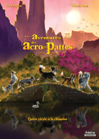 LES AVENTURES DES ACRO-PATTES - T01 - QUETE VIRALE A LA CHINOISE