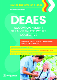 DEAES accompagnement de la vie en structure collective