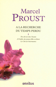 A la recherche du temps perdu, tome 1