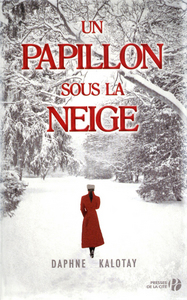 UN PAPILLON SOUS LA NEIGE