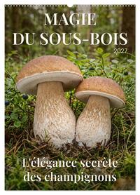 MAGIE DU SOUS-BOIS (Calendrier mural 2027 DIN A2 horizontal), CALVENDO calendrier mensuel