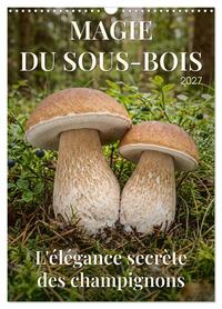 MAGIE DU SOUS-BOIS (Calendrier mural 2027 DIN A3 horizontal), CALVENDO calendrier mensuel