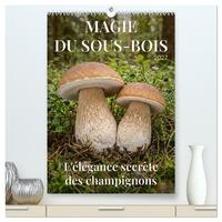 MAGIE DU SOUS-BOIS  (Calendrier mural 2027 DIN A2 horizontal) calendrier de bureau
