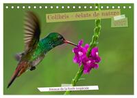 Colibris - éclats de nature (Calendrier de bureau 2027 DIN A5 vertical), CALVENDO calendrier mensuel