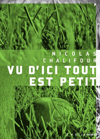 Vu d'ici tout est petit - Suivi de Vert de gris