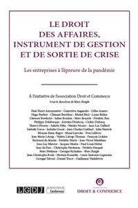 LE DROIT DES AFFAIRES, INSTRUMENT DE GESTION ET DE SORTIE DE CRISE - LES ENTREPRISES A L'EPREUVE DE