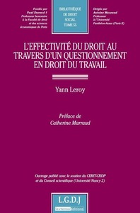 l'effectivité du droit au travers d'un questionnement en droit du travail