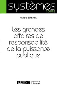 LES GRANDES AFFAIRES DE RESPONSABILITE DE LA PUISSANCE PUBLIQUE