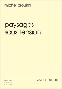 PAYSAGES SOUS TENSION