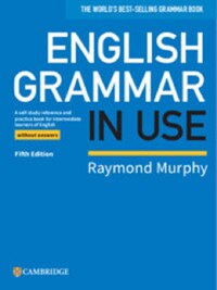 ENGLISH GRAMMAR IN USE BOOK WITHOUT ANSWERS