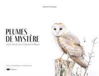 Plumes de mystère
