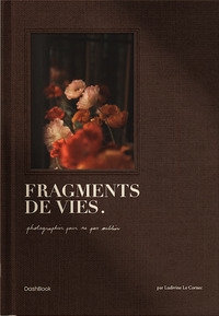 Fragments de vies