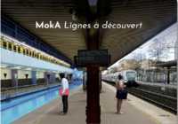 Moka Lignes à Découvert