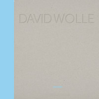 DAVID WOLLE