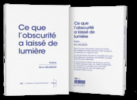 Ce que l'obscurité a laissé de lumière