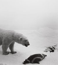 HIROSHI SUGIMOTO DIORAMAS /ANGLAIS