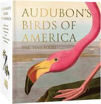 AUDUBON'S BIRDS OF AMERICA - TINY FOLIO /ANGLAIS