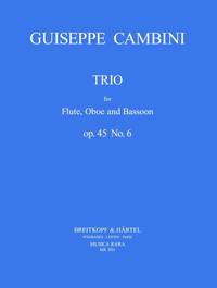 TRIO OP. 45 NR. 6