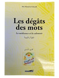 LES DéGâTS DES MOTS GRAND FORMAT
