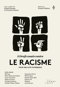 11 BREFS ESSAIS CONTRE LE RACISME. POUR UNE LUTTE SYSTEMIQUE