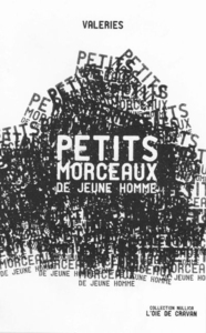 PETITS MORCEAUX DE JEUNE HOMME