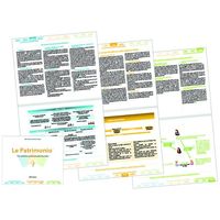 LE PATRIMONIO - 100 SOLUTIONS PATRIMONIALES ILLUSTREES