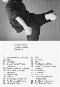 Benedict Brink Accumulative Impulses /anglais