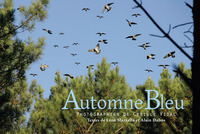 AUTOMNE BLEU, CHASSE A LA PALOMBE